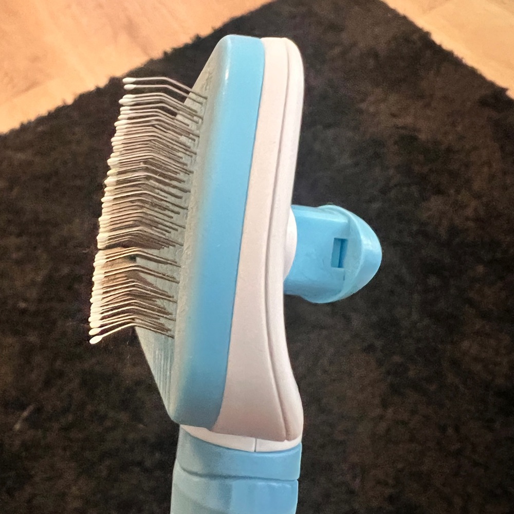 Pet Brush with Push Button Hair Removal